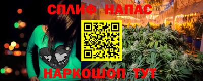 стаф Обь