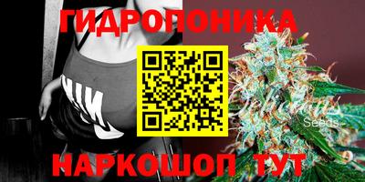 стаф Обь